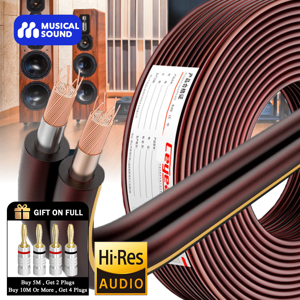 Musical Instrument Amplifier - Musical Sound Audio Speaker Wire Cable