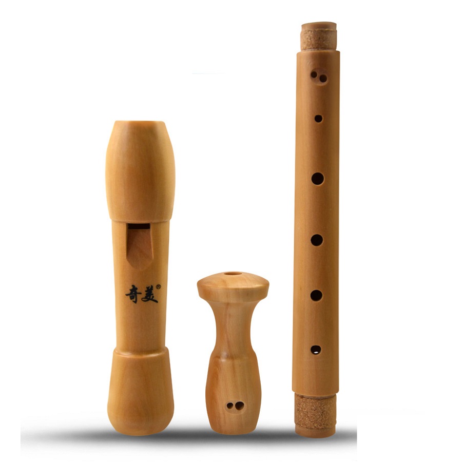 Qimei 8 Holes Alto Recorder Mu - Musical Instrument Theremin 评论和价格