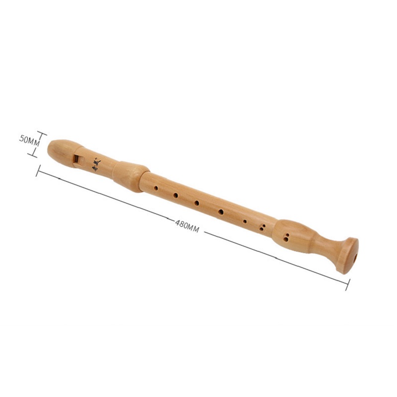 Qimei 8 Holes Alto Recorder Mu - Musical Instrument Theremin 评论和价格