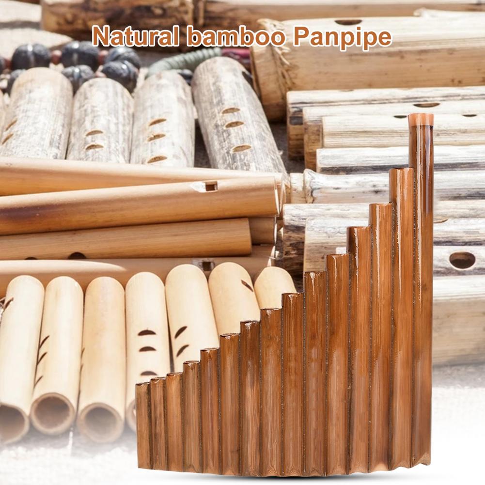 Harmonious 15-Tube Left-Hand P - Musical Instrument Harmony 评论和价格