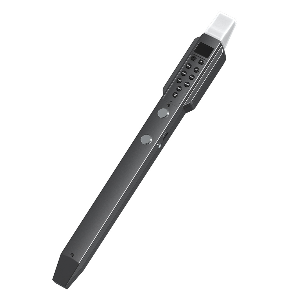 Small Transverse Flute Electro - Musical Instrument Theremin 评论和价格