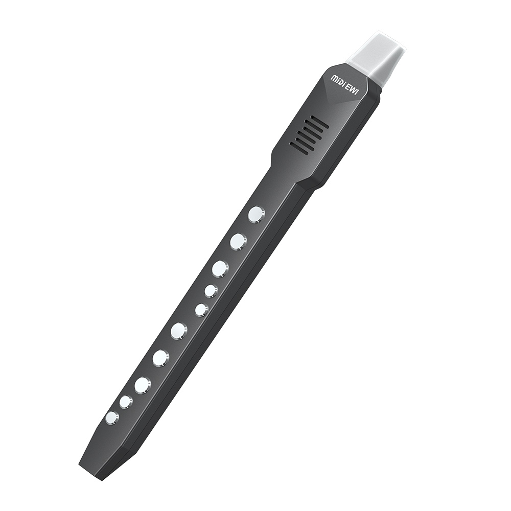 Small Transverse Flute Electro - Musical Instrument Theremin 评论和价格