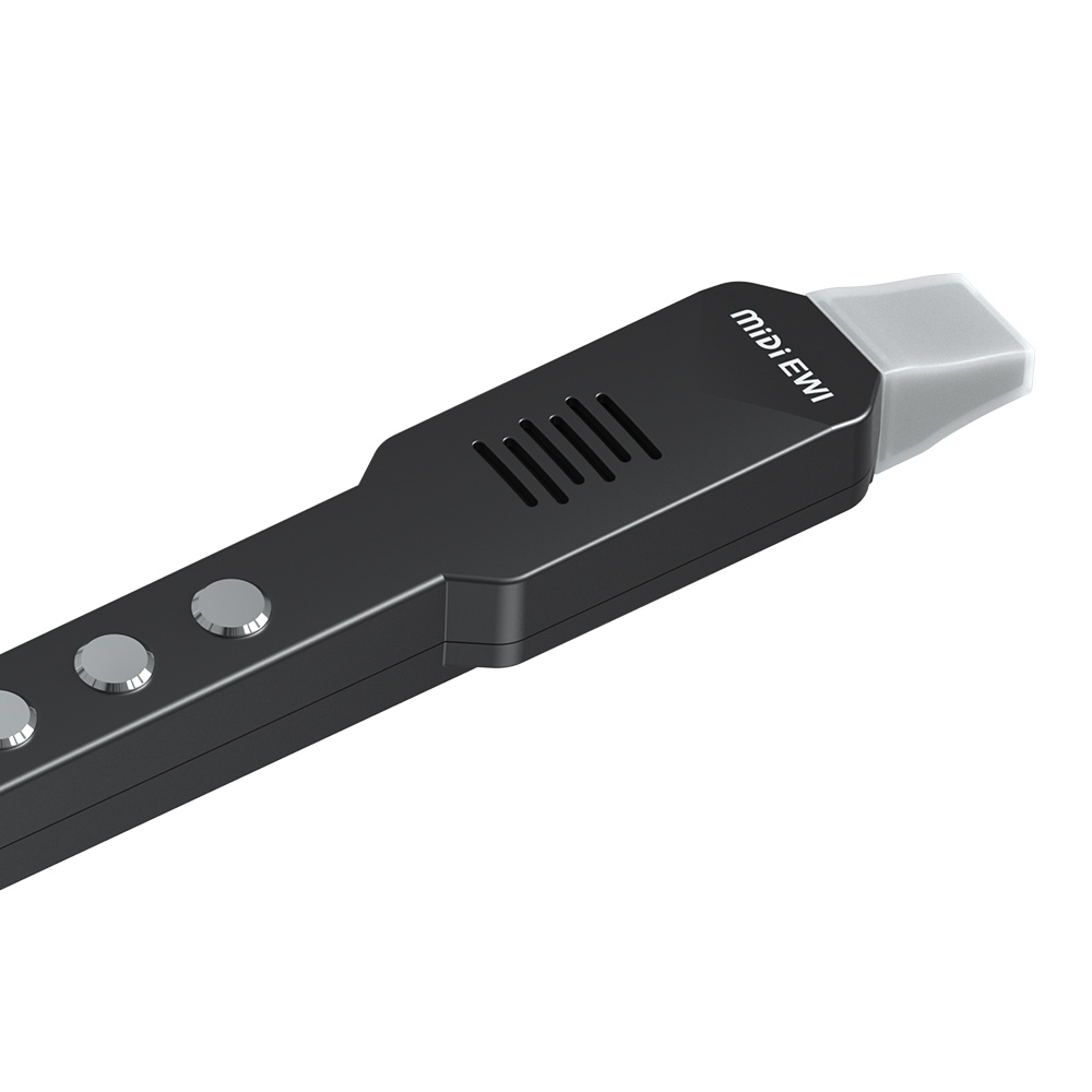 Small Transverse Flute Electro - Musical Instrument Theremin 评论和价格