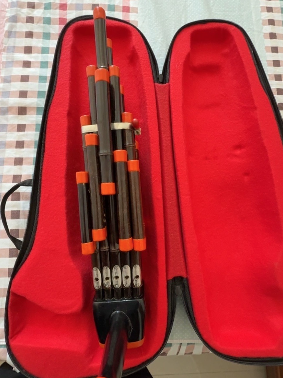 14 Reeds Sheng Double Sound Am - Musical Instrument Amplifier 评论和价格